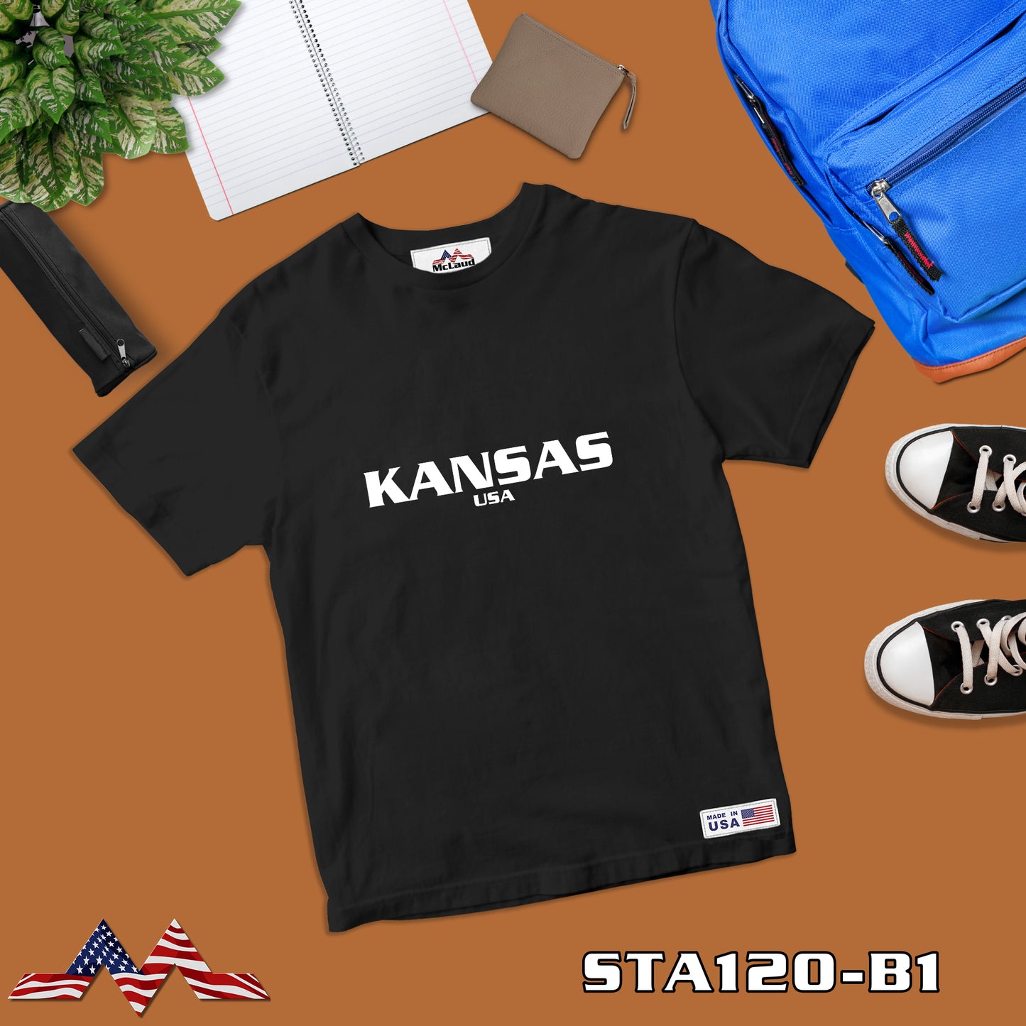 STA120- KANSAS