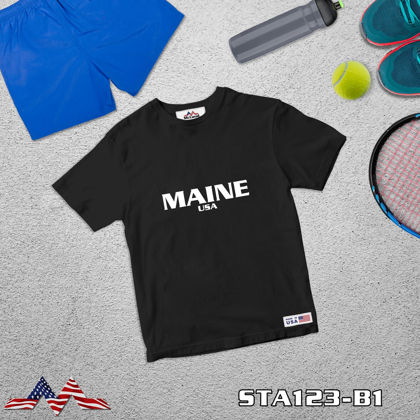 STA123- MAINE