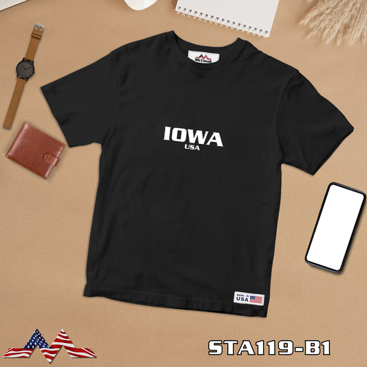 STA119- IOWA