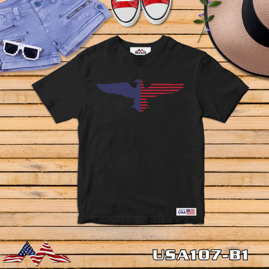 USA 107