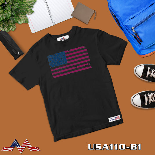 USA 110