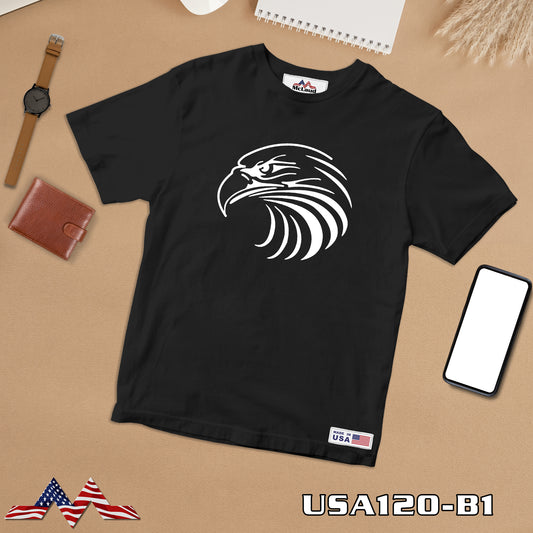 USA 120